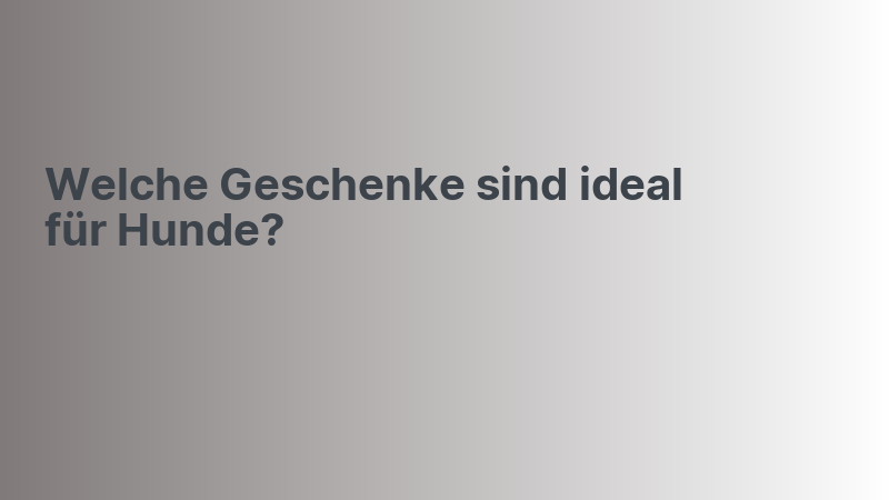 Welche Geschenke sind ideal für Hunde?